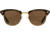 AO Sirmont Sunglasses, Chocolate Gold, Cosmetan Brown AOLite Nylon Lenses, Chocolate Gold / Cosmetan Brown Lens, 53-21-145, SIR253ST--BNN