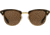 AO Sirmont Sunglasses, Chocolate Gold, Cosmetan Brown AOLite Nylon Lenses, Chocolate Gold / Cosmetan Brown Polarized Lens, 53-21-145, SIR253ST--BNN-P