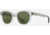 AO Times Sunglasses, Gray Crystal Frame, Calobar Green AOLite Nylon Lenses, Polarized, 47-21-145, TIM247ST--GNN-P