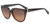 Armani EA4027 Sunglasses 519818-57 - Transparent Brown Frame, Orange Gradient Lenses