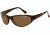Arnette Raven Sunglasses, Havana AN4188-03