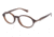 Balmain 1015 Eyeglass Frames - Frame BROWN, Size 48/17mm BL101503