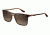 Carrera 6012/S Bifocal Prescription Sunglasses CA6012S-0DWJ-HA-5517 - Frame Color Havana, Lens Diameter 55 mm