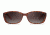 Carrera 8016/S Sunglasses CA8016S-06XV-LA-6015 - Havana Black Frame, Brown Gradient Polz Lenses, Lens Diameter 60mm, Distance Between Lenses 15mm