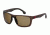 Carrera 8027/S Bifocal Prescription Sunglasses CA8027S-009Q-SP-5719 - Frame Color Brown, Lens Diameter 57 mm