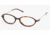 Chaps CP3033 Bifocal Eyeglasses, Tort Frame / 50 mm Prescription Lenses, 502 5017