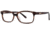 Chloe CL1204 Bifocal Prescription Eyeglasses - Frame Nut/Horn, Size 53/14mm CL120403