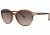Chloe CL2251 Sunglasses - Frame Brown Horn, Lens Color Gradient Brown CL225102