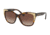 Coach L1044 HC8244F Sunglasses 541713-56 - Dark Trot Frame, Smike Brown Grey Gradient Lenses