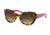 Coach L120 HC8143B Sunglasses 528613-55 - Tokyo Tortoise Frame, Khaki Gradient Lenses