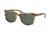 Coach L1657 HC8220 Sunglasses 517171-54 - , Green Solid Lenses