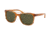 Coach L1657 HC8220 Sunglasses 558171-54 - , Green Solid Lenses
