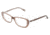D&amp;G DD1226 Eyeglass Frames 1981-5016 - Brown On Powder Frame