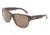 D&amp;G DD3062 Sunglasses 502/73-5917 - Havana Brown