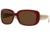 DKNY DY4011-301613-5918 Sunglasses with Lined Bifocal Rx Prescription Lenses Dark Tortoise Frame