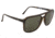 Gatorz Pedtor17To Pedy Tortoise Frame Green Lens Sunglasses