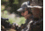 Gatorz Wraptor Sunglasses, Grey Lens, Cerakote Military Tan Frame WRACTN01