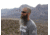 Gatorz Wraptor Sunglasses, Grey Lens, Cerakote Military Tan Frame WRACTN01