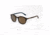 Hang Ten Gold GoldSchool Sunglasses, Demi White Blue/Gradient Brown Lens 4002407