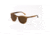Hang Ten Gold The Dandy Sunglasses, Brown Horn/Brown Lens 4002423