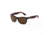 Hang Ten Gold The Wavefarer Sunglasses, Brown Demi/Brown Lens 4002393