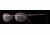 Laura Ashley Saffron SELA SAFF00 Progressive Prescription Eyeglasses