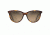 Maui Jim Cathedrals Polarized Classic  Sunglasses,Tortoise,HCL Bronze Lens HS782-10
