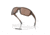 Oakley OO9416 Split Shot Sunglasses - Men's, Matte Brown Tortoise FramePrizm Tungsten Polarized Lenses, 941603-64