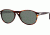 Persol PO2931S Sunglasses Havana Crystal Green