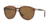 Persol PO3159S Bifocal Prescription Sunglasses, 55mm, Havana, PO3159S-901557-55-BI
