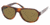 Polo PH4037 Bifocal Sunglasses - Spotted Havana Brown Frame w/ 56 mm Diameter Lenses, 501773-5617