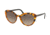 Prada CONCEPTUAL PR02VS Sunglasses - Women's UF33D0-54 - , Light Brown Grad Light Grey Lenses