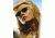 Ray-Ban Serengeti Bolle Wiley X D&amp;G Rx Prescription Sunglasses Trial Program