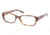 Ralph Lauren Eyeglasses RL6056 with Lined Bifocal Rx Prescription Lenses 5303-5116 - Tortoise Frame, Demo Lens Lenses