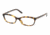 Ralf Lauren RL6060 #5134 - Antique Tortoise Demo Lens Frame