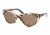 Ralf Lauren RL8070 #529873 - Zebra-Havana Brown Frame