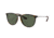 Ray-Ban Erika RB4171F Sunglasses 710/71-54 - , Dark Green Lenses