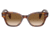 Ray-Ban RB0880SF Sunglasses, Striped Havana Frame, Clear Gradient Brown Lens, Asian Fit, 53, RB0880SF-954-51-53