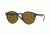 Ray-Ban RB2180 Progressive Prescription Sunglasses RB2180-710-73-51 - Lens Diameter 51 mm, Frame Color Dark Havana