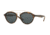 Ray-Ban RB4257F Bifocal Prescription Sunglasses RB4257F-710-71-51 - Lens Diameter 51 mm, Frame Color Havana
