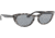 Ray-Ban RB4314N Sunglasses 1250Y5-54 - Womens, Havana Grey Frame, Blue Mir Gold Lenses