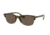 Ray-Ban RB4419 Progressive Prescription Sunglasses, 54mm, Tortoise, RB4419-710-73-54-PRO
