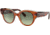 Ray-Ban Roundabout RB2192 Sunglasses, Havana On Transparent Green, 47, RB2192-1325BH-47