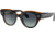 Ray-Ban Roundabout RB2192 Sunglasses, Black On Transparent Brown, 47, RB2192-132241-47