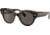 Ray-Ban Roundabout RB2192 Sunglasses, Havana On Transparent Brown, 47, RB2192-1292B1-47