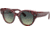 Ray-Ban Roundabout RB2192 Sunglasses, Havana On Transparent Purple, 47, RB2192-1323BH-47