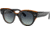 Ray-Ban Roundabout RB2192F Sunglasses, Black On Transparent Brown, 47, RB2192F-132241-47