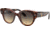 Ray-Ban Roundabout RB2192F Sunglasses, Havana On Transparent Pink, 47, RB2192F-1324BG-47