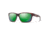 Smith Basecamp Sunglasses, Matte Tortoise Frame, ChromaPop Polarized Green Mirror Lens, 201929N9P59UI