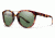 Smith Optics Bridgetown Bifocal Prescription Sunglasses, Tortoise Frame, Polarized, BNCPGNTTBI